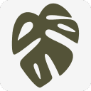 All You Need - Midtown (Proper coffee&food) logo