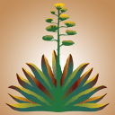 Aqui Es Texcoco Pico Rivera logo
